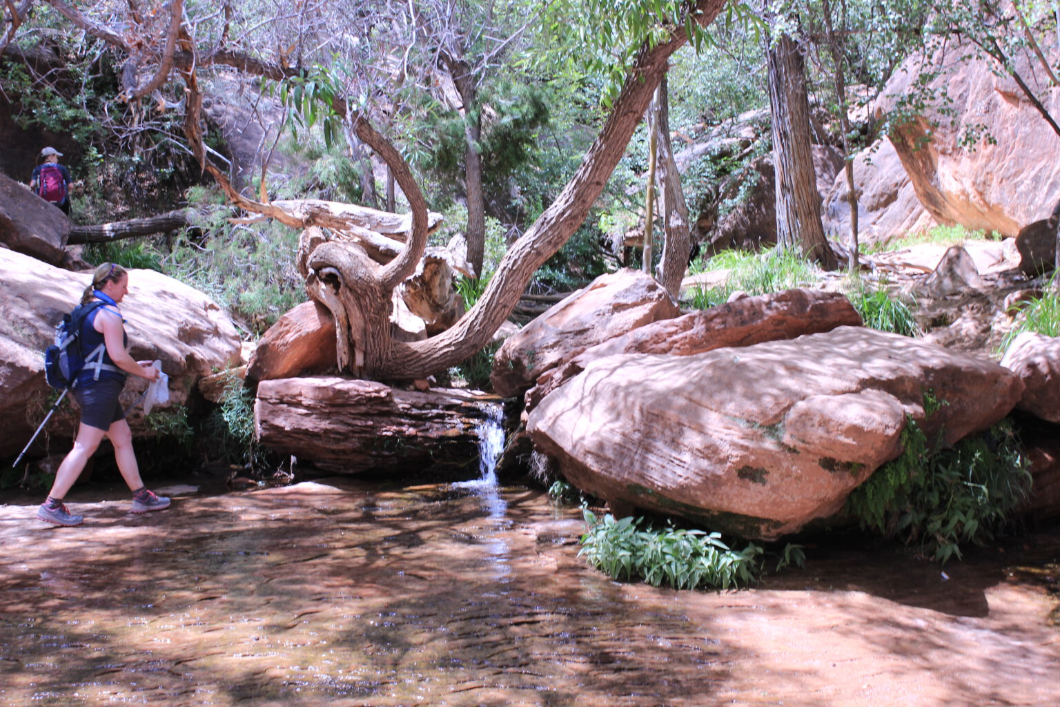 Zion Nationalpark - Emerald Pools