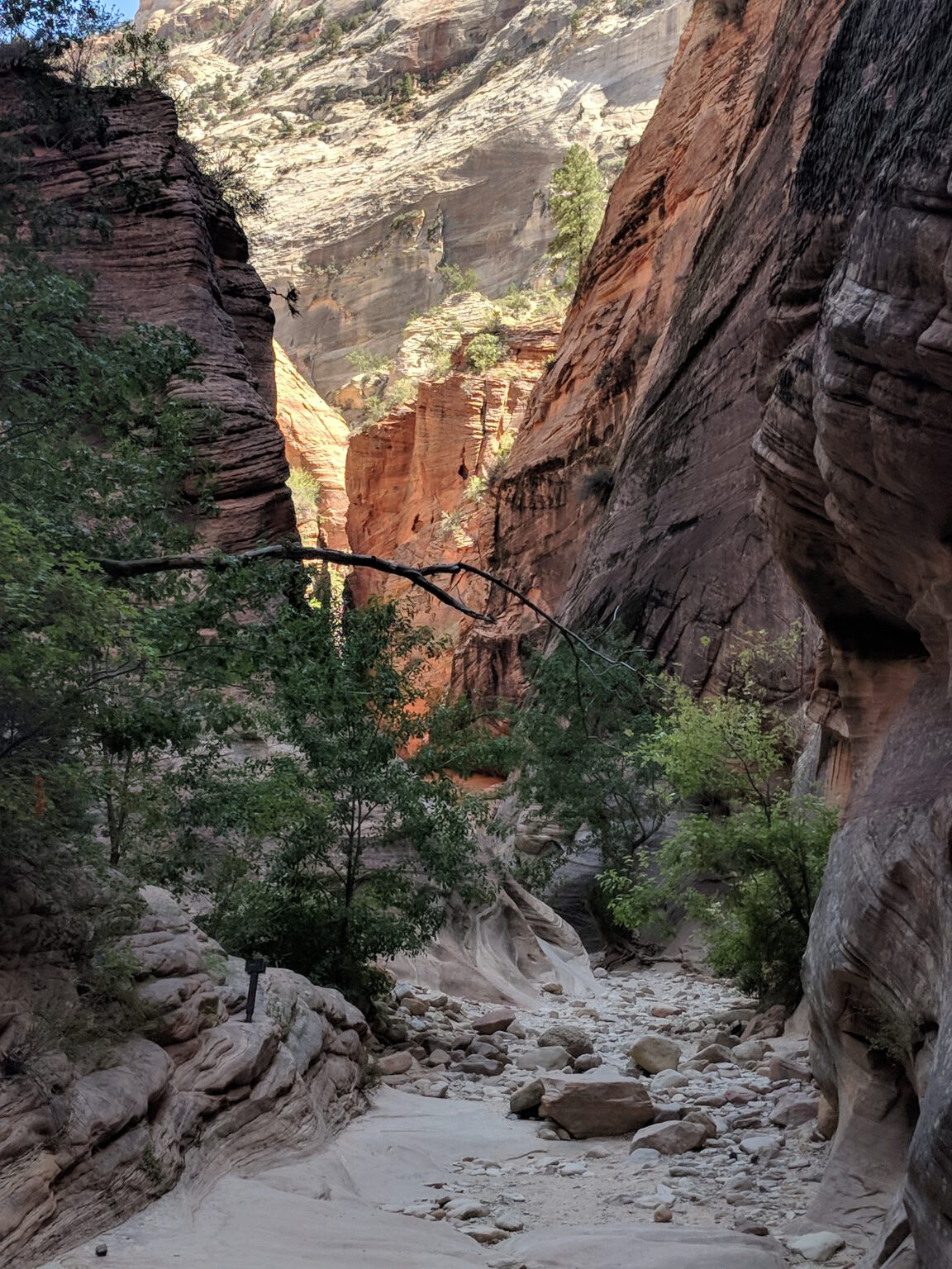 Zion Nationalpark - Hidden Canyon - 2018